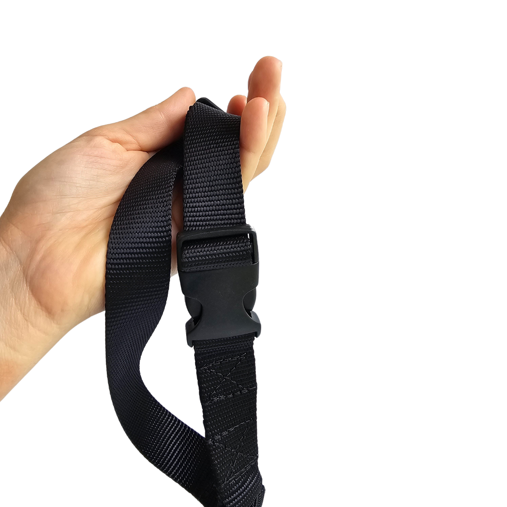 Cinturón de seguridad para perros