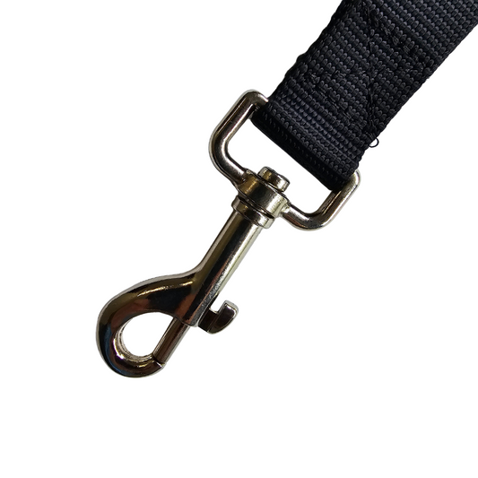 Cinturón de seguridad para perros