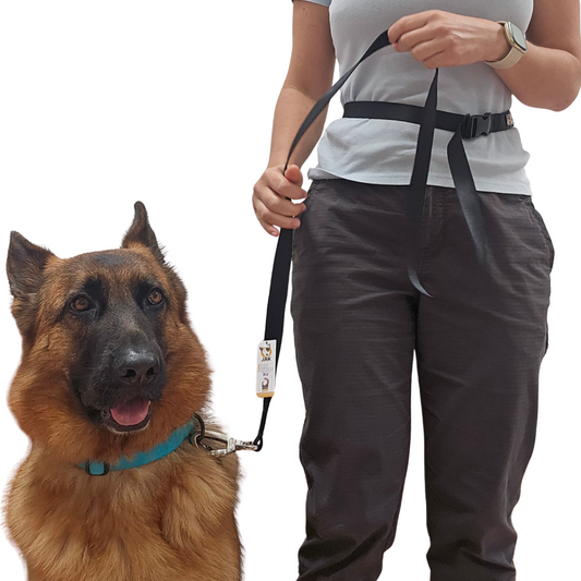 Correa manos libres para perro