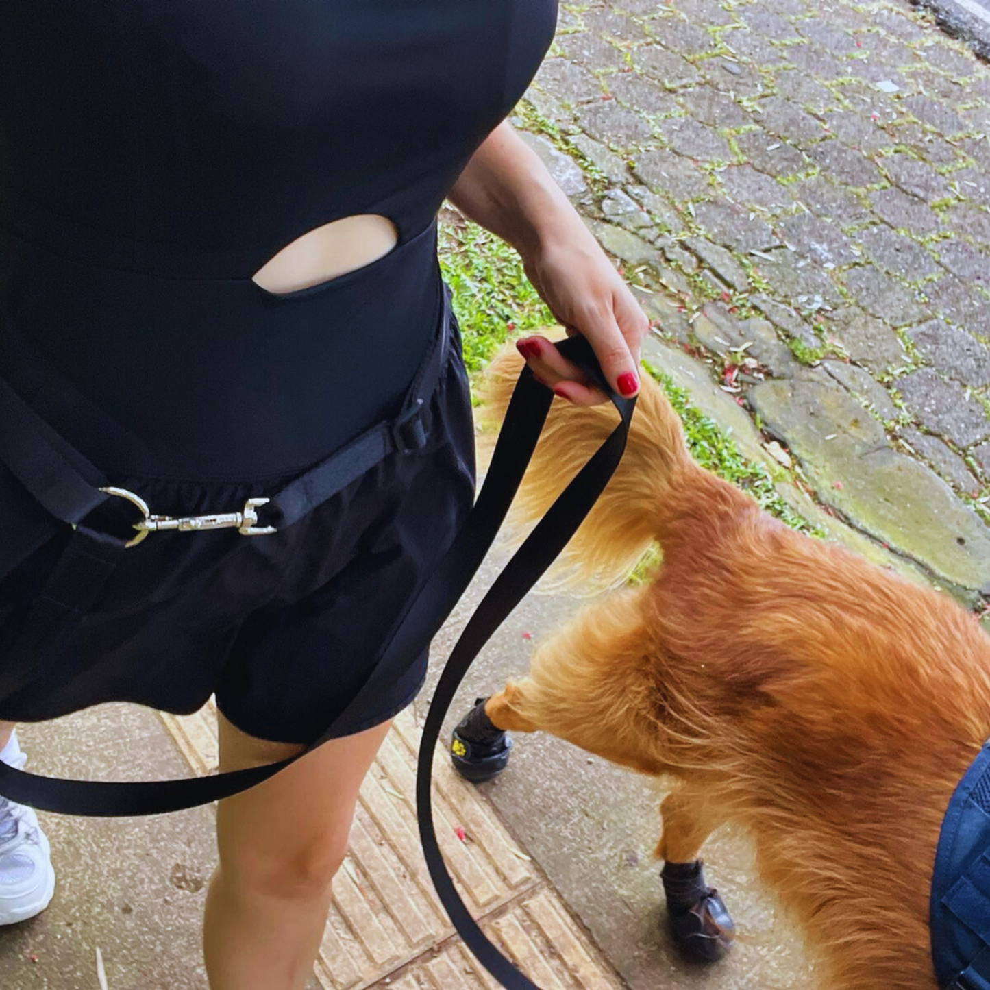 Correa manos libres para paseos