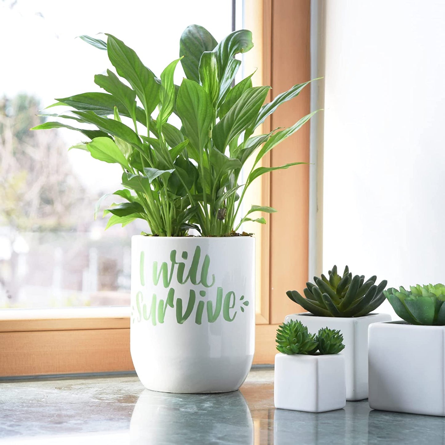 Set de 8 Marcadores Posca PC-5M