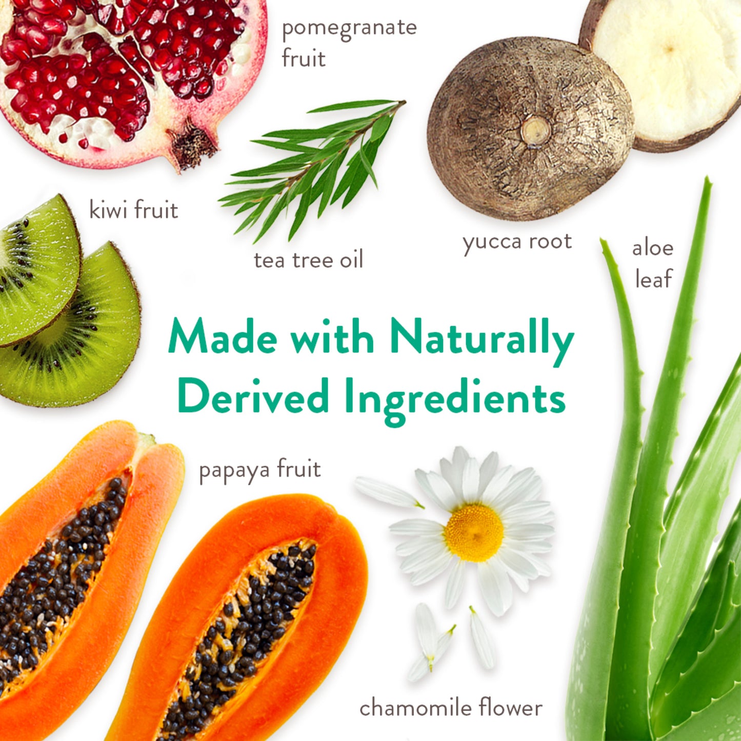 Shampoo medicado para el alivio de la comezón para perros y gatos