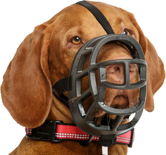 El uso del bozal en perros