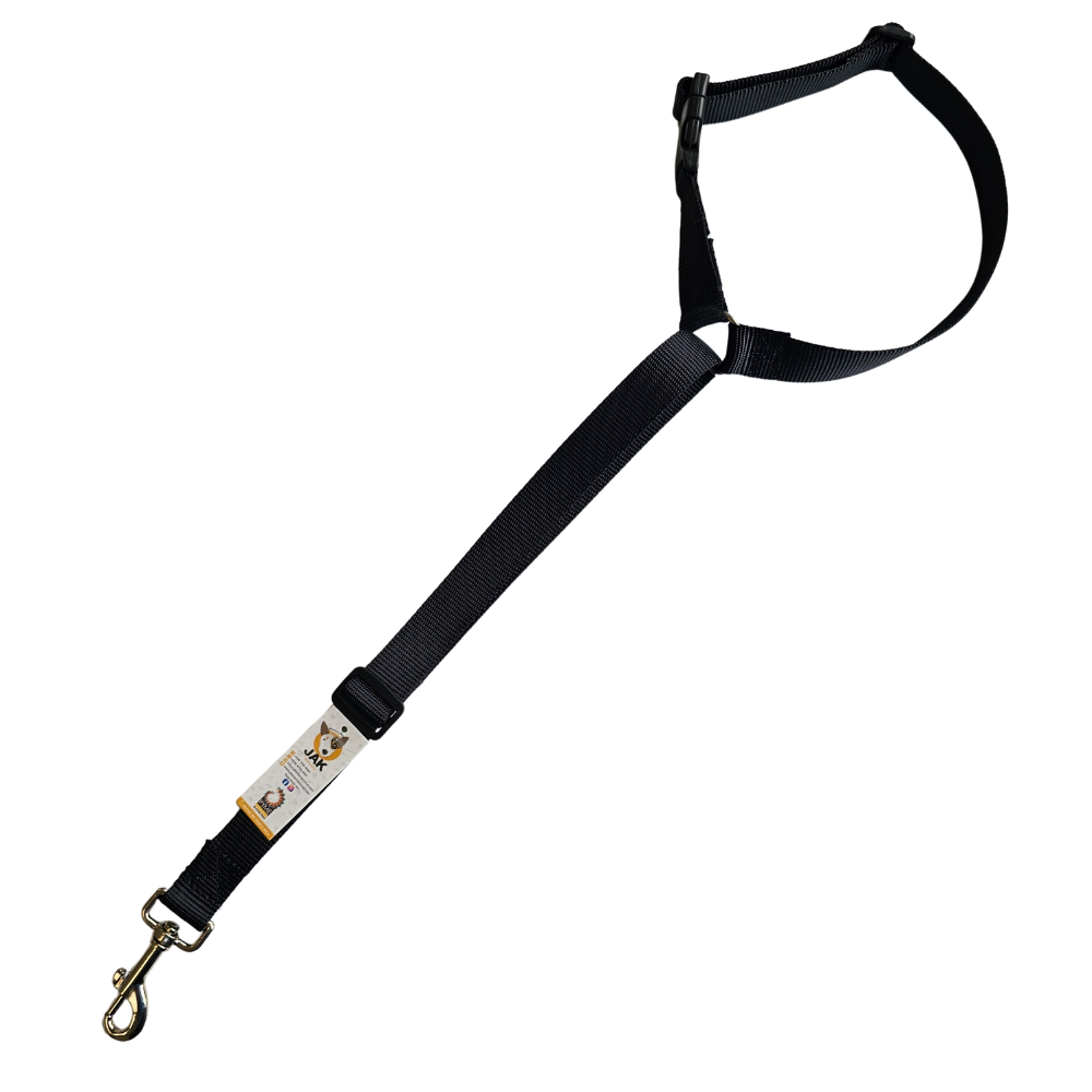 Cinturón de seguridad para perros