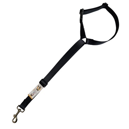 Cinturón de seguridad para perros