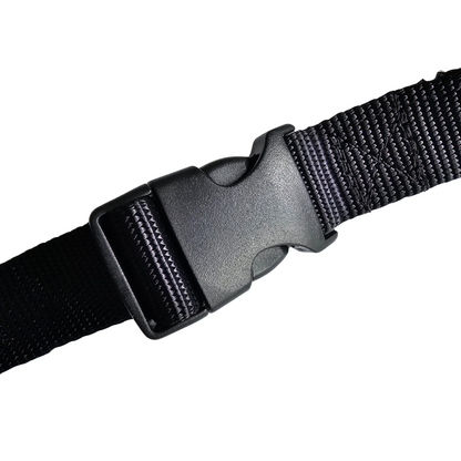 Cinturón de seguridad para perros