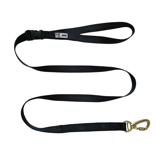 Correa manos libres para perro