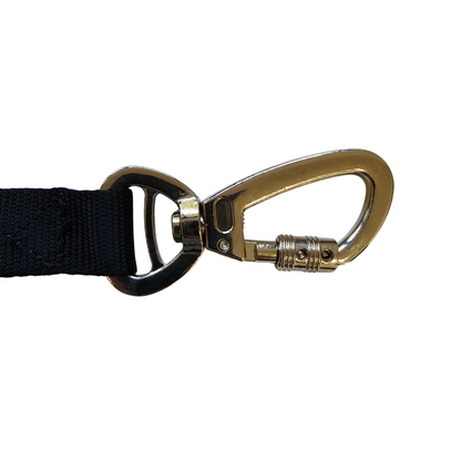 Correa manos libres para perro