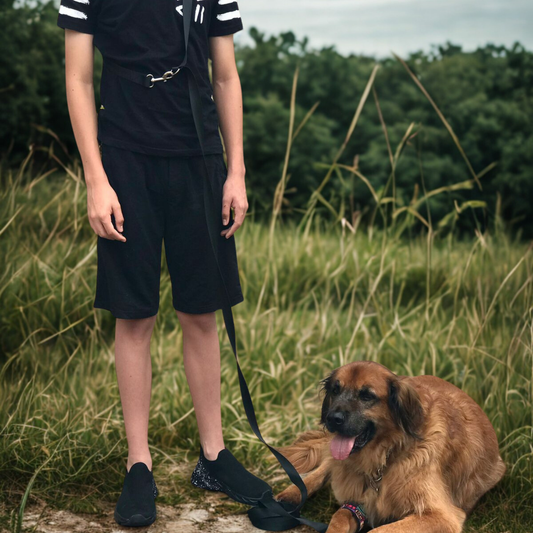 Correa manos libres para paseos