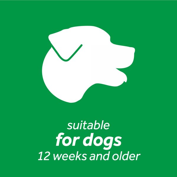 Gel antiplaca y sarro para perros