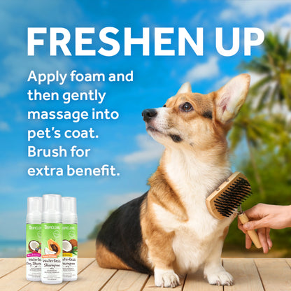 Shampoo hipoalargénico en seco para perros y gatos