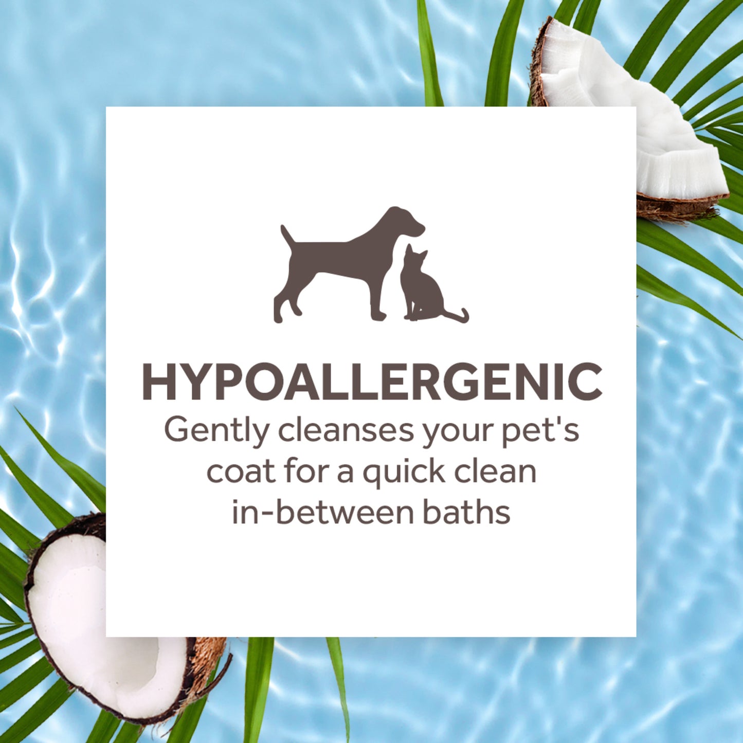 Shampoo hipoalargénico en seco para perros y gatos