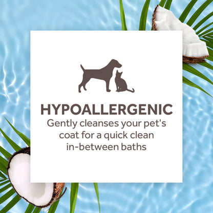 Shampoo hipoalargénico en seco para perros y gatos