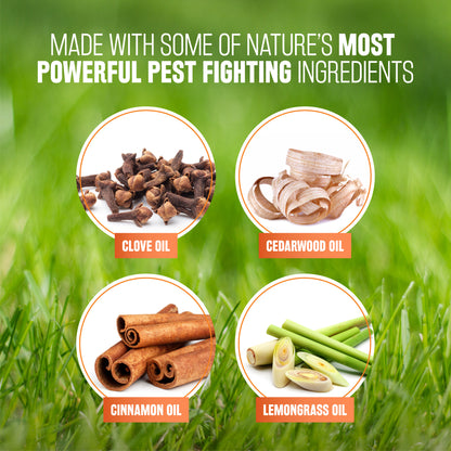 Spray contra pulgas y garrapatas para perros y ropa de cama