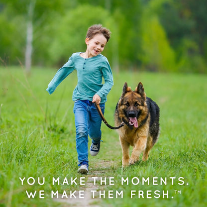Spray contra pulgas y garrapatas para perros y ropa de cama
