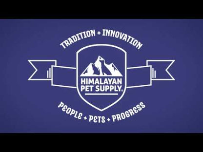 Bonehead S - Juguete para perro y accesorio para masticables