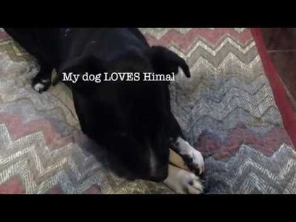 Masticable de larga duración - Tocino